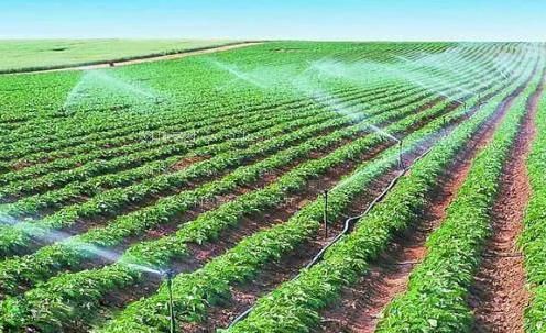 光腚女人色色色色农田高 效节水灌溉